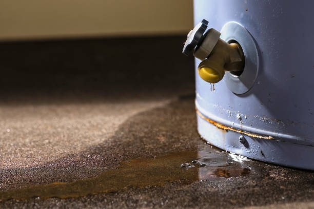 Best Water damage restoration specialists  in Vails Gate, NY
