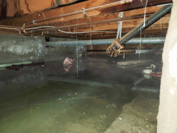 Best Flood restoration services  in Vails Gate, NY