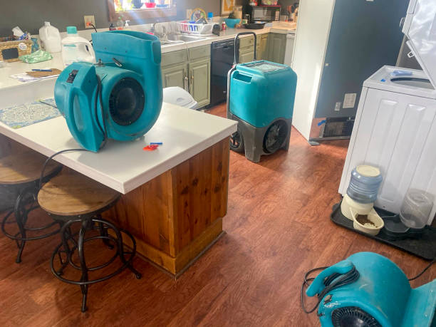 Best Water damage restoration near me  in Vails Gate, NY