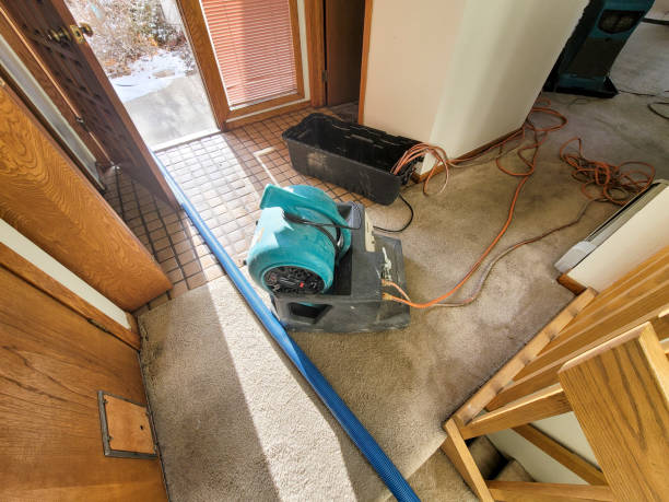 Best Ceiling water damage repair  in Vails Gate, NY