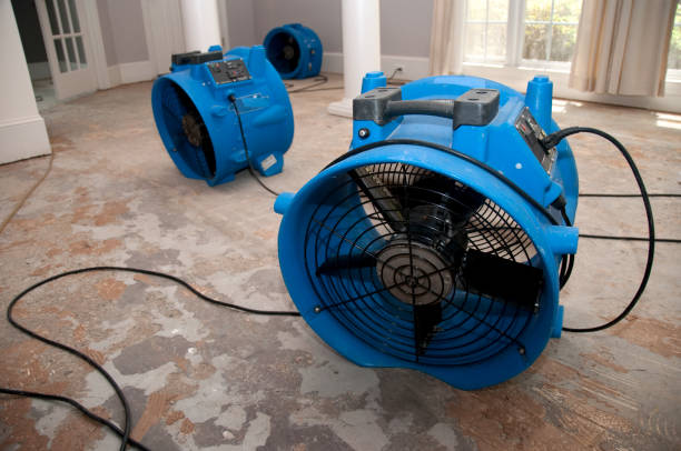 Best Flood damage cleanup  in Vails Gate, NY