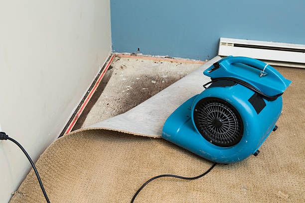 Best Water damage contractors near me  in Vails Gate, NY